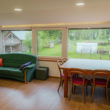 Country Retreat, Near Ljubljana City, Apartma Na Vasi, Blizu Mesta Ljubljana Apartment Medvode Luaran gambar