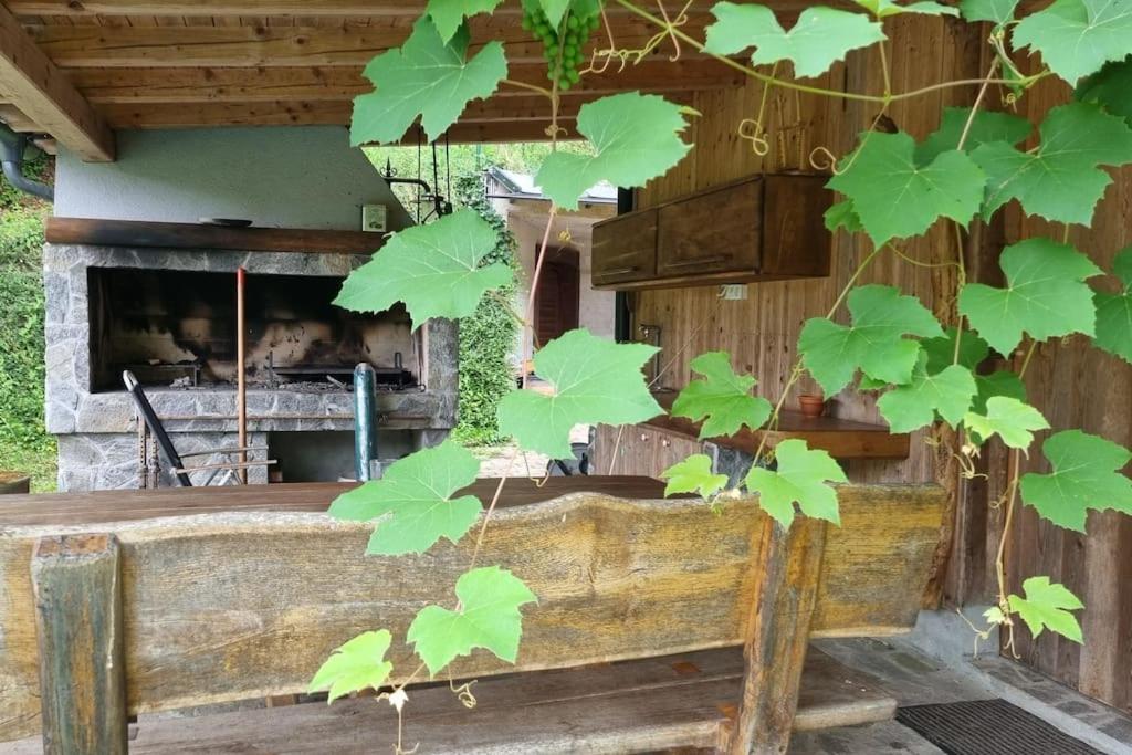Country Retreat, Near Ljubljana City, Apartma Na Vasi, Blizu Mesta Ljubljana Apartment Medvode Luaran gambar